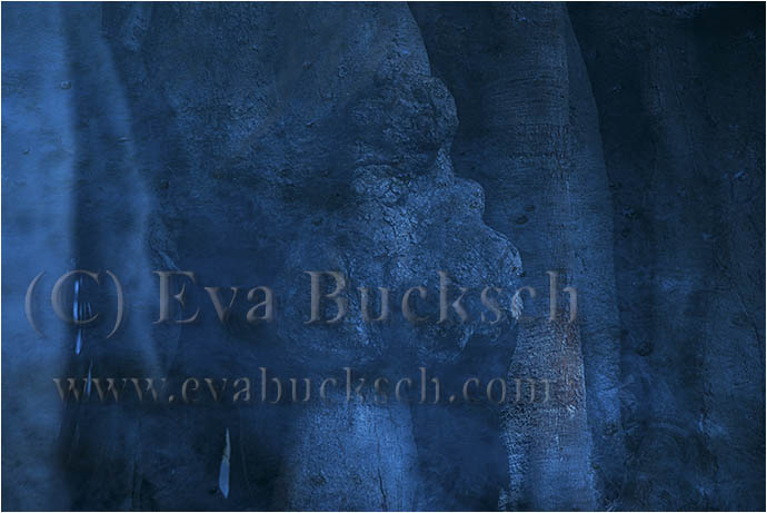Tr&auml;dtroll - foto av Eva Bucksch